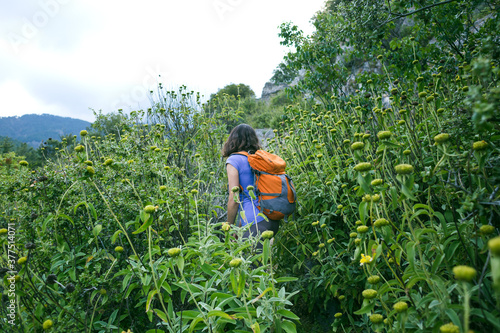 A woman with a backpack goes along the path through the tall grass