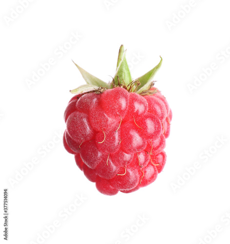 Delicious fresh ripe raspberry isolated on white