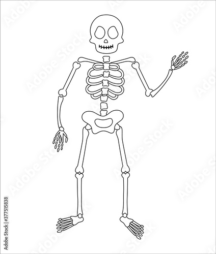 Halloween party illustration with human skeleton. Vector black and white skull and bones. Scary design for Autumn Samhain party. All saints day coloring page..
