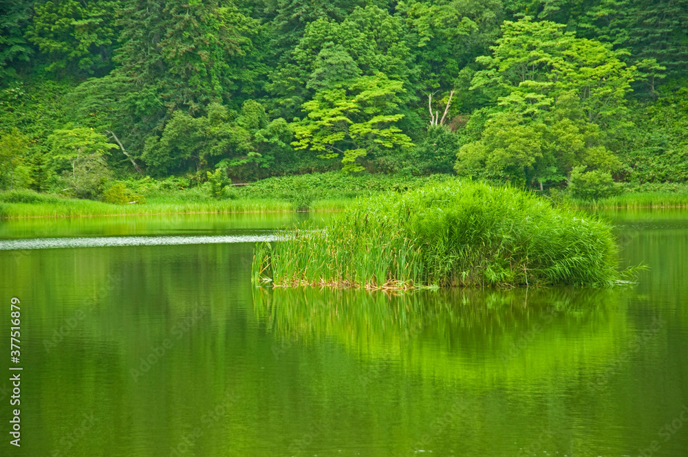 Himenuma Pond Rishiri Hokkaido Japan Himenuma Pond Rishiri Hokkaido Japan