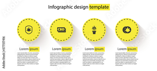 Set Shield and marijuana leaf, Cannabis molecule, Marijuana or cannabis plant and Herbal ecstasy tablets. Business infographic template. Vector.