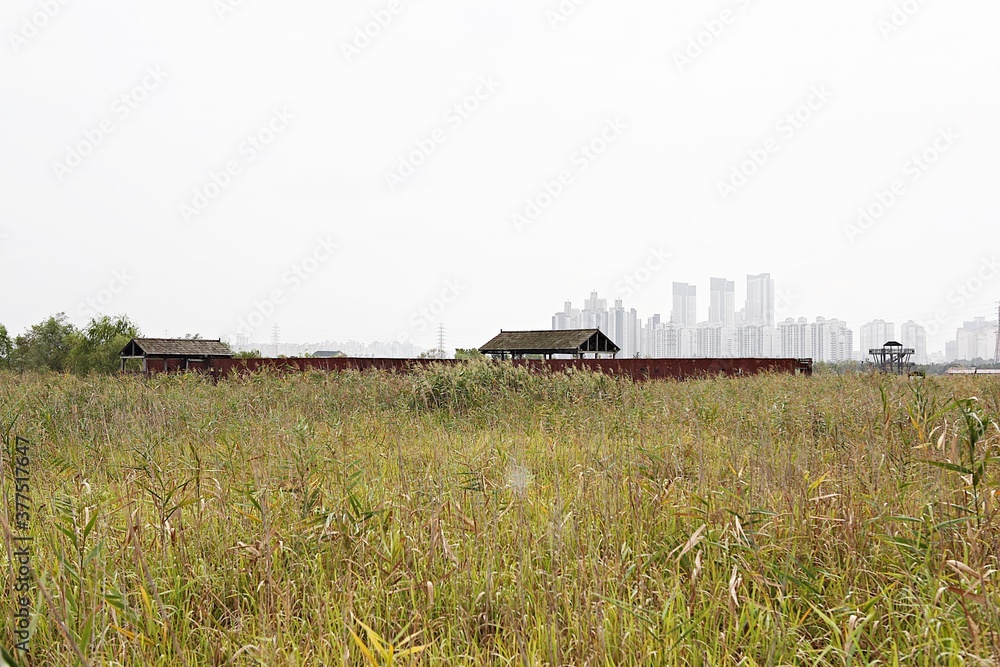 Fototapeta premium 한국 인천시 남동구 소래습지생태공원 입니다