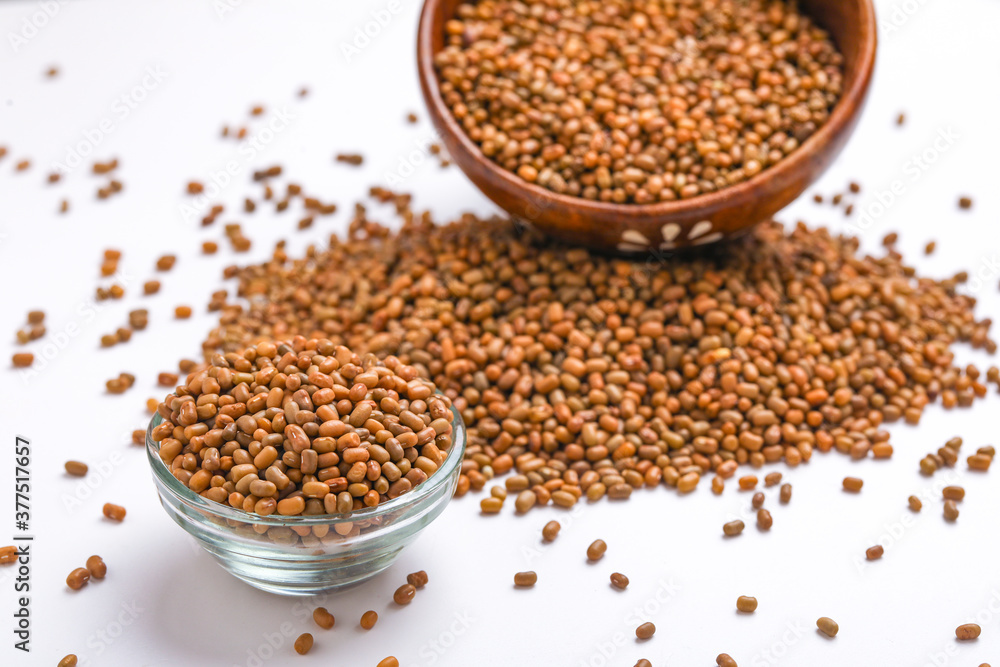 moth beans or matki beans in bowl moth beans or matki beans in bowl