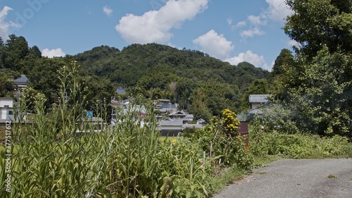 Midsummer rural landscape in Osaka, Japan, September 3, 2020