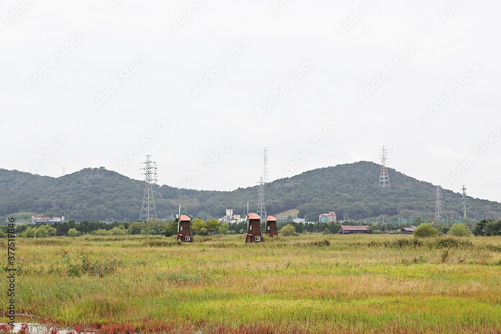 Fototapeta premium 한국 인천시 남동구 소래습지생태공원 입니다