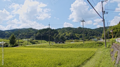 A view of a Japanese village on a sunny day in the middle of summer