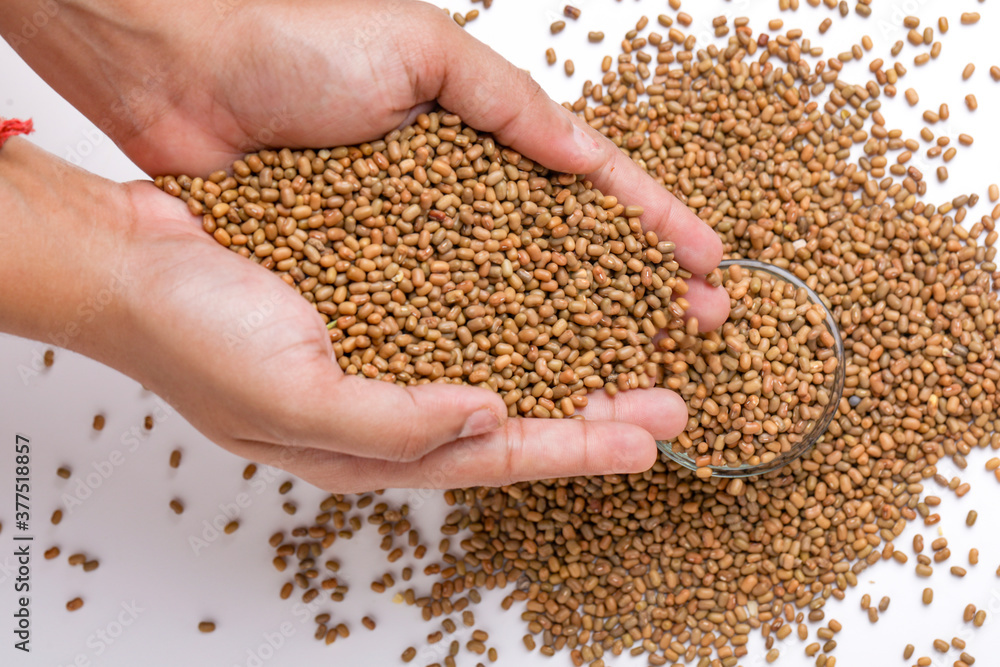 moth beans or matki beans in wooden bowl