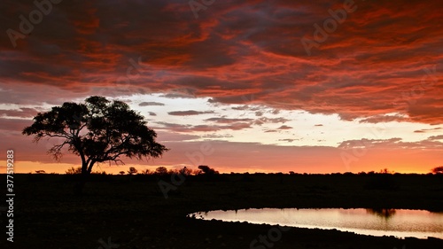 Himmel, Wolken, Blau, Orange, Rosa, Sonnenaufgang, Sonnenuntergang, Morgenstimmung, Abendstimmung, Morgen, Abend, Früh, Wetter, Flug, Stimmung, 