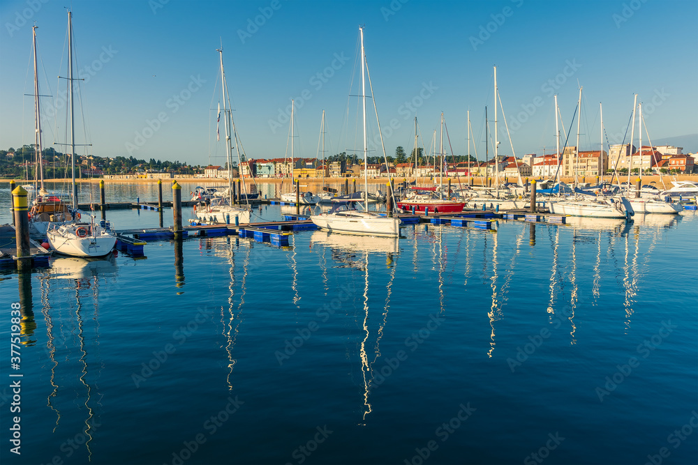 a scene of sports port with sailboats at sunrise