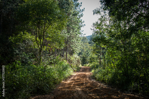 dirt road 