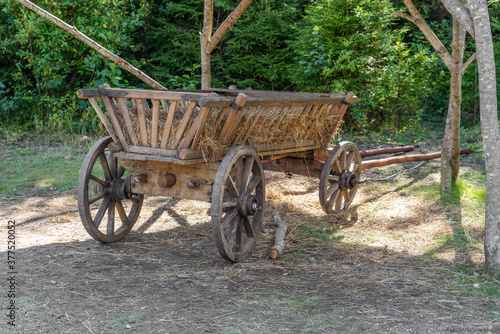 Wooden cart in old shed