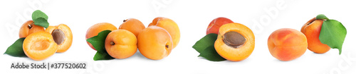 Set of fresh apricots on white background. Banner design