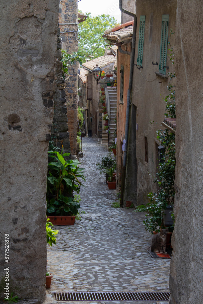The alley in the Middle Ages village ,a narrow passageway between buildings was built in the 15th century.