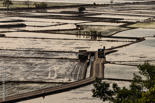 Wallpaper Mural Wangyougu Torontodigital.ca