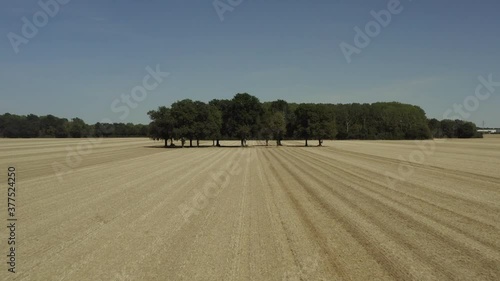 Tracteur et champs