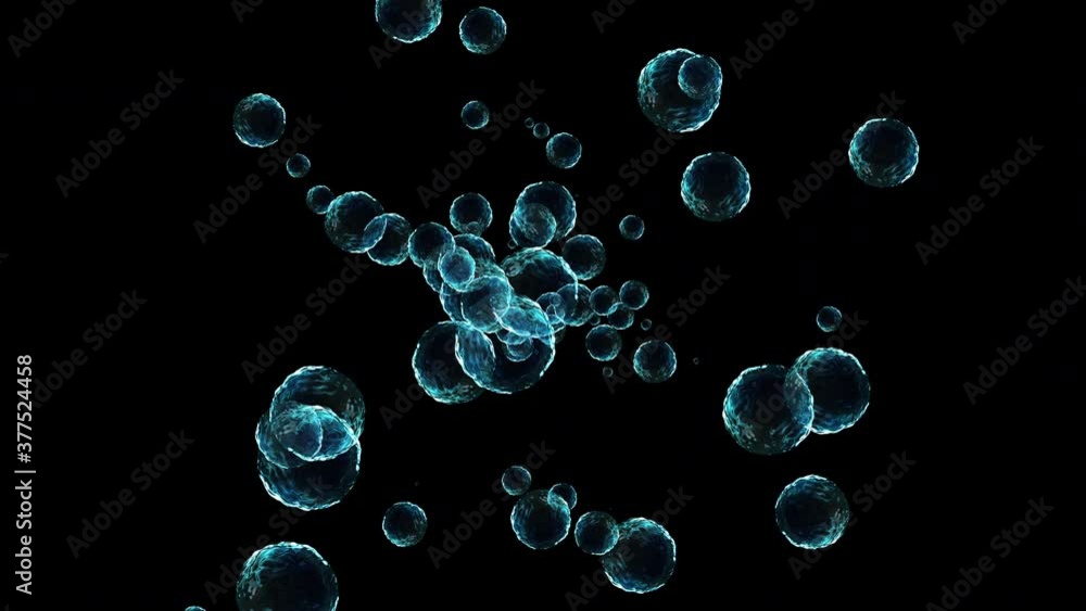 Transparent Realistic bubbles flowing Uniform directional 4K UHD video footage in a Black Background Transparent Realistic bubbles flowing Uniform directional 4K UHD video footage in a Black Background