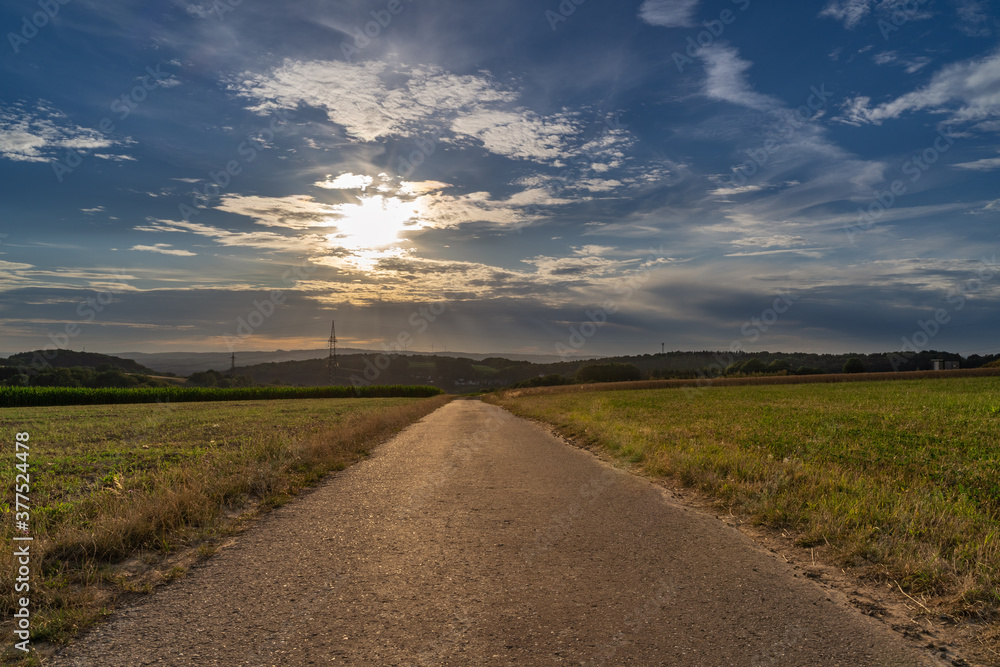 Pathway in The Landscape with Sunset