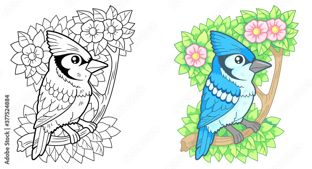 Fototapeta premium cartoon cute bird blue jay funny illustration