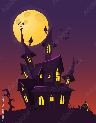 Cartoon haunted old house. Vetor illustration isolated photo