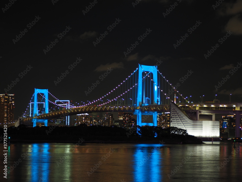 Fototapeta premium 橋のある夜景