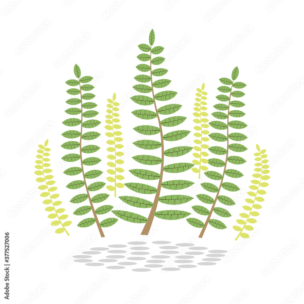 Vector illustration of nature background, leaves, flowers. Vector illustration of nature background, leaves, flowers.