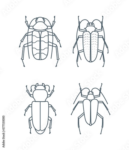 Set of outline beetle icons