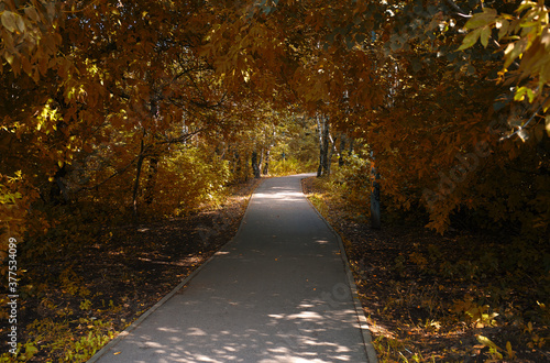 Road to autumn at city park background