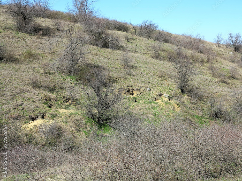 Colony of foxes on slopes of mountain hills. Big hole in land is wild animal. System of underground passages and holes. Traces of animals in wild. Nora for marmot Colony of foxes on slopes of mountain hills. Big hole in land is wild animal. System of underground passages and holes. Traces of animals in wild. Nora for marmot