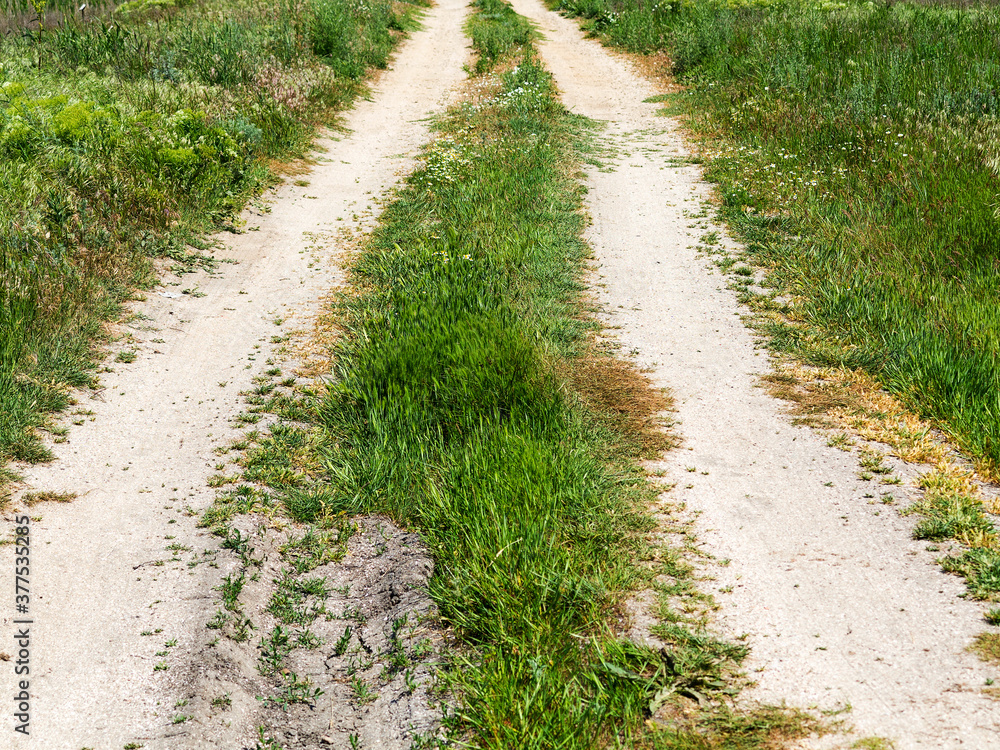 dirt road in countryside on sunny spring day.. Route in beautiful nature landscape with sun, green grass and wildflowers dirt road in countryside on sunny spring day.. Route in beautiful nature landscape with sun, green grass and wildflowers