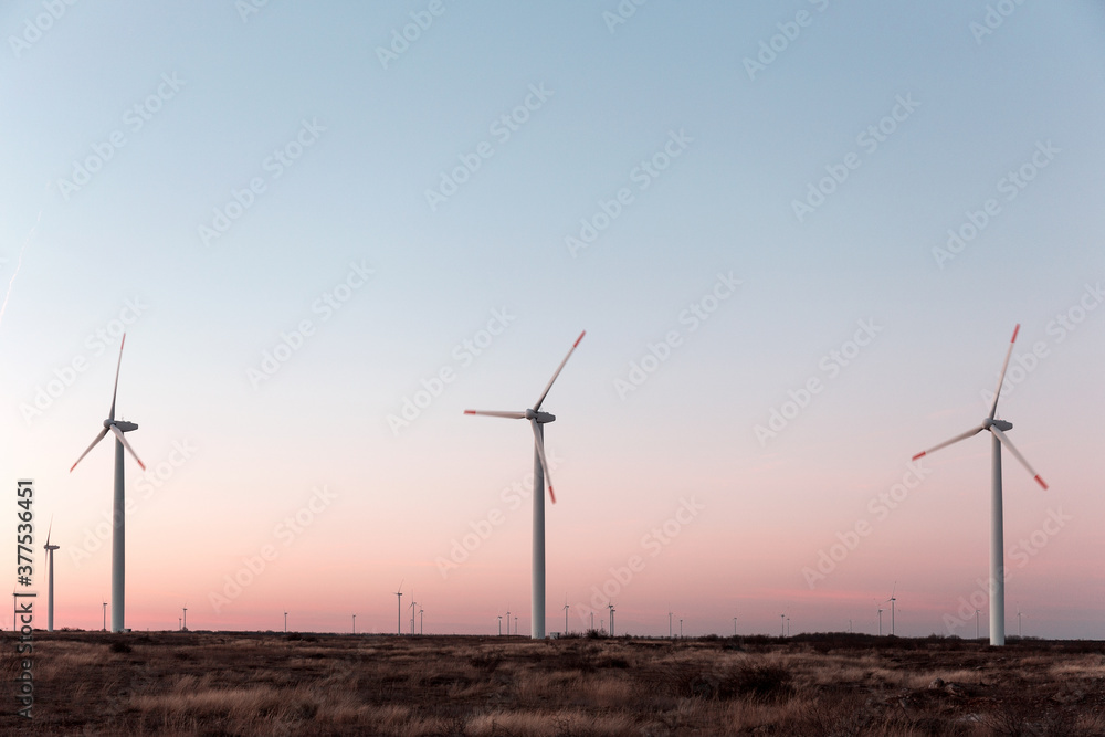 Wind Turbines at Dusk. Landscape sunset with windmills. Renewal source of electricity. Wind turbines field new technology for clean energy on mountain, sunset view with colorful twilight on sky Wind Turbines at Dusk. Landscape sunset with windmills. Renewal source of electricity. Wind turbines field new technology for clean energy on mountain, sunset view with colorful twilight on sky