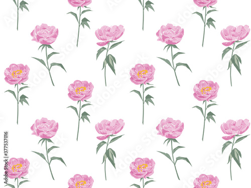 Seamless floral pattern with peonies on white background  watercolor. design for textiles  interior  clothes  wallpaper. Botanical art