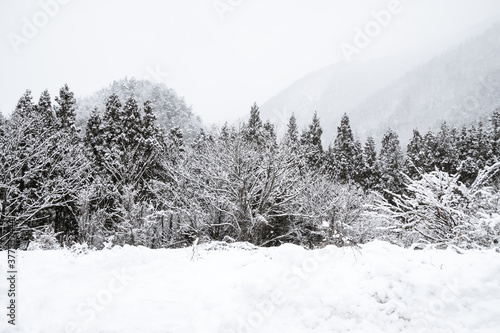 Fantastic snow winter landscape mountain in Shirakawa-Go vintage japanese village park, Japan Beauty world in Fir branch with ice and frost on forest trees in cold winter, beautiful natural in coldest
