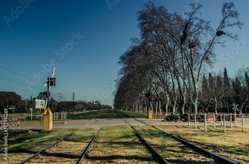 railroad in the park