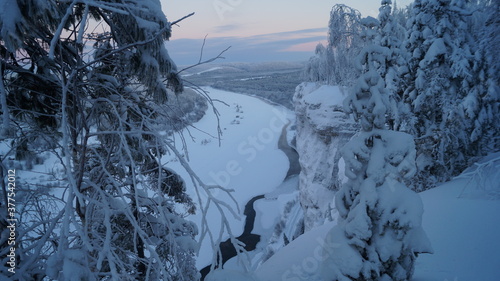 snow covered trees