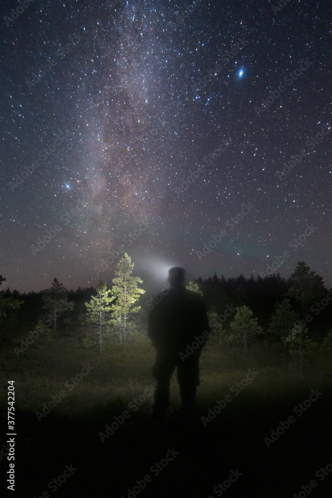 Person silhouette with headlamp in forest looking out under clear night sky with Milky Way and stars