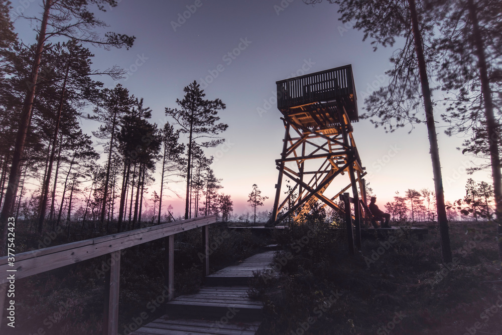Boardwalk to lookout tower in bog at dawn with pink horizon