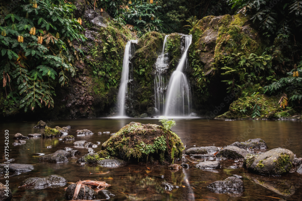 Obraz premium waterfall in the forest