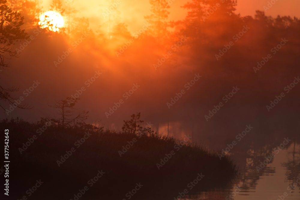 Sunrise above water and trees on foggy morning