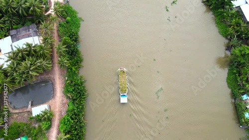 The boat carrying coconuts in the river
