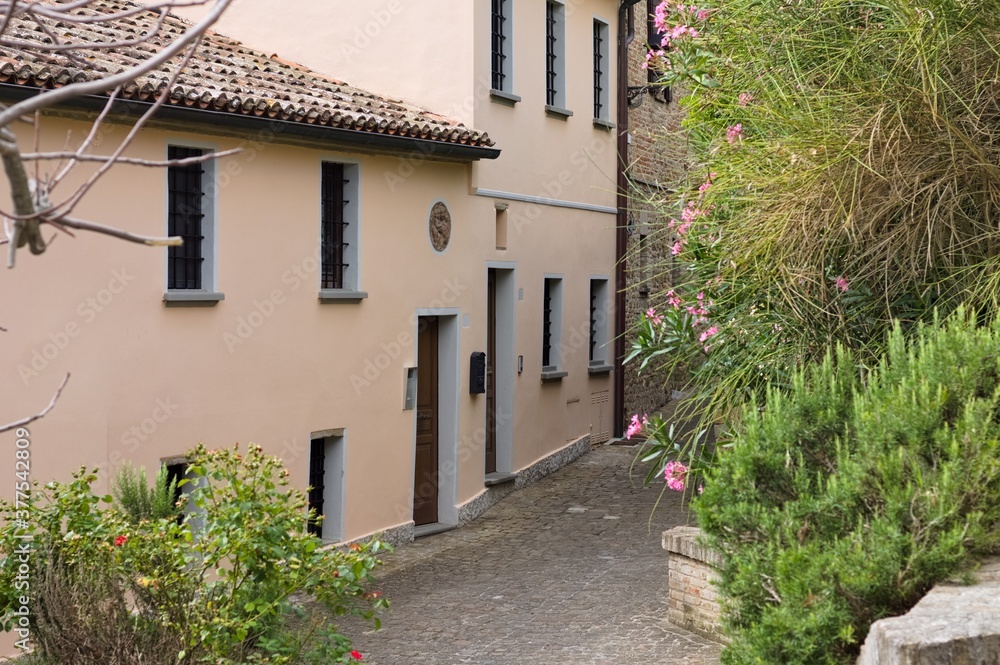 Alley of an Italian village with old brick houses, plants and flowers (Fiorenzuola di Focara, Italy, Europe)