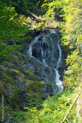 River in Fereastra Sambetei, Carpathian Mountains, Transylvania photo