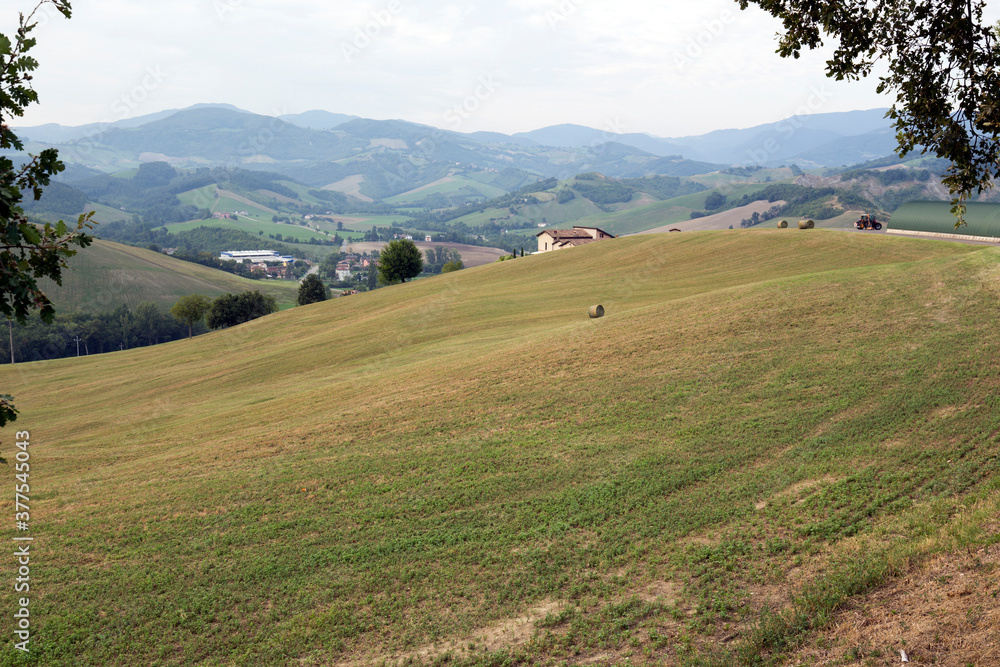 Fields along via Francigena in Borgo Taro area