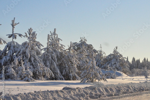 winter landscape in the mountains