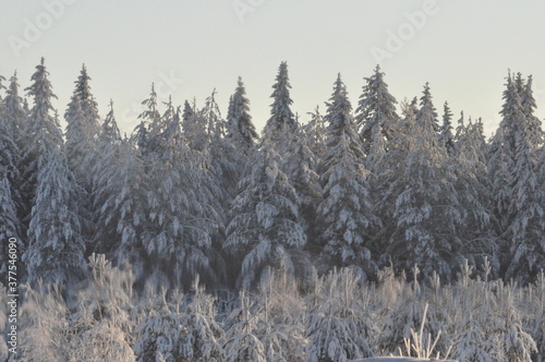 winter landscape in the mountains