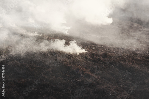 Closeup of smoke of a burning field in spring.