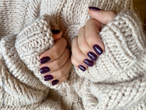 Beautiful manicure.  Well-groomed female hands with nails painted in a dark plum color on a light knitted background of a knitted sweater.  Fashionable color of nail gel polish.