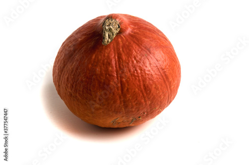 Fresh orange pumpkin isolated on a white background. Small decorative pumpkin.