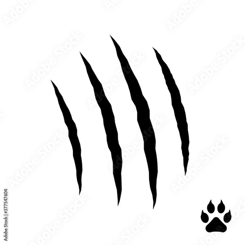 Vector claws scratches: cat, tiger, lion and bear, isolated on white background. Claws animal, vector illustration.