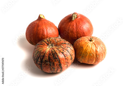 Fresh orange pumpkin isolated on a white background. Small decorative pumpkin. Several different pumpkins. © MadCat13Shoombrat