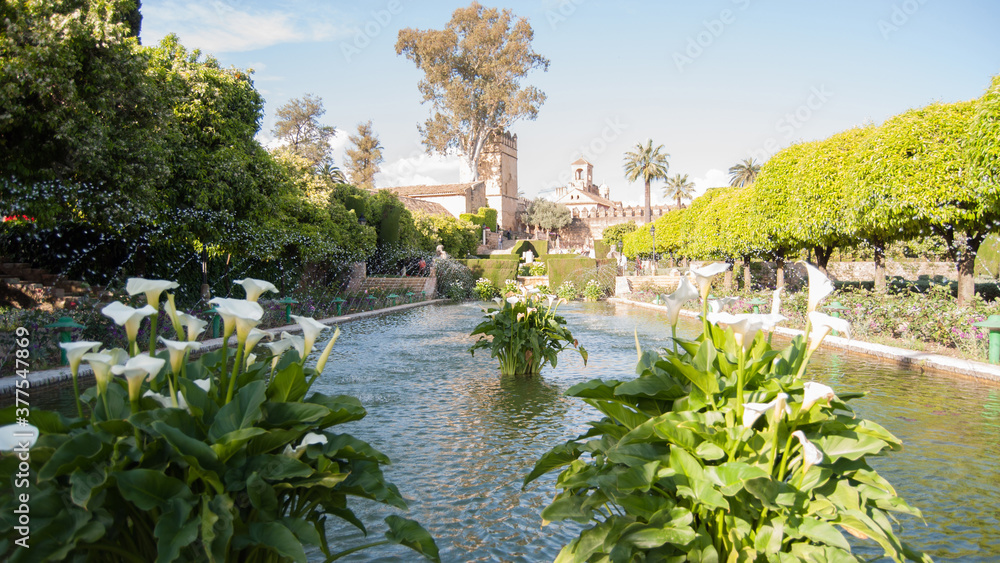 Fototapeta premium Alcázar de los Reyes Cristianos - Córdoba